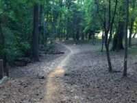 LPT-trail-into-the-woods.jpg